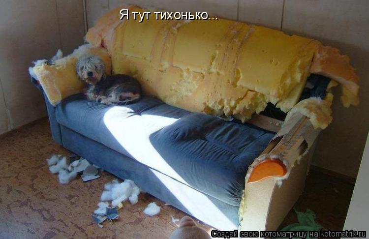Котоматрица: Я тут тихонько...