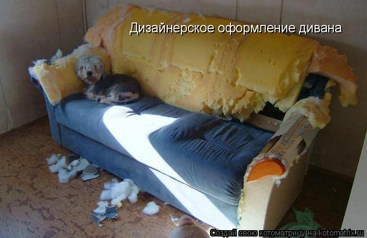 Котоматрица: Дизайнерское оформление дивана