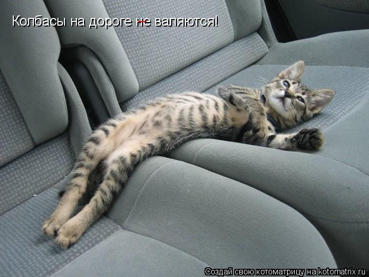 Котоматрица: Колбасы на дороге не валяются! _