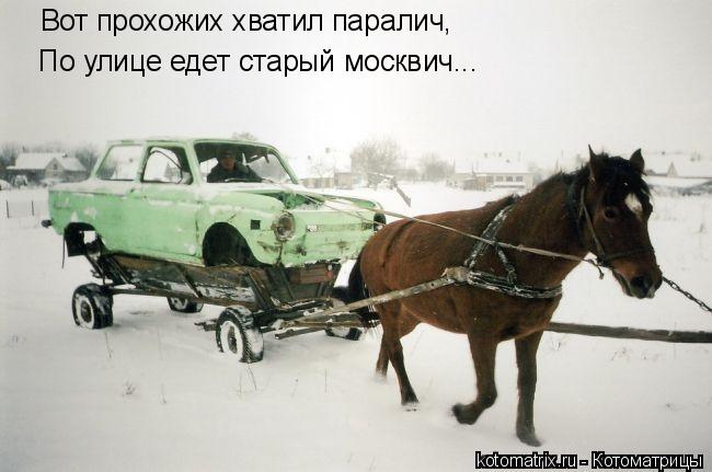 Котоматрица: Вот прохожих хватил паралич, По улице едет старый москвич...