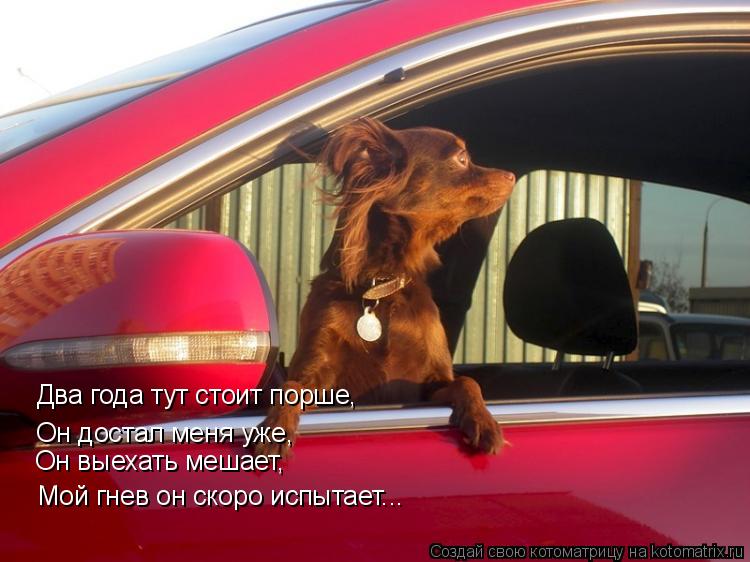 Два года тут стоит порше, Он достал меня уже, Он выехать мешает, Мой гнев он скоро испытает...... Котоматрица: Два года тут стоит порше, Он достал меня уже, Он выехать мешает, Мой гнев он скоро испытает...