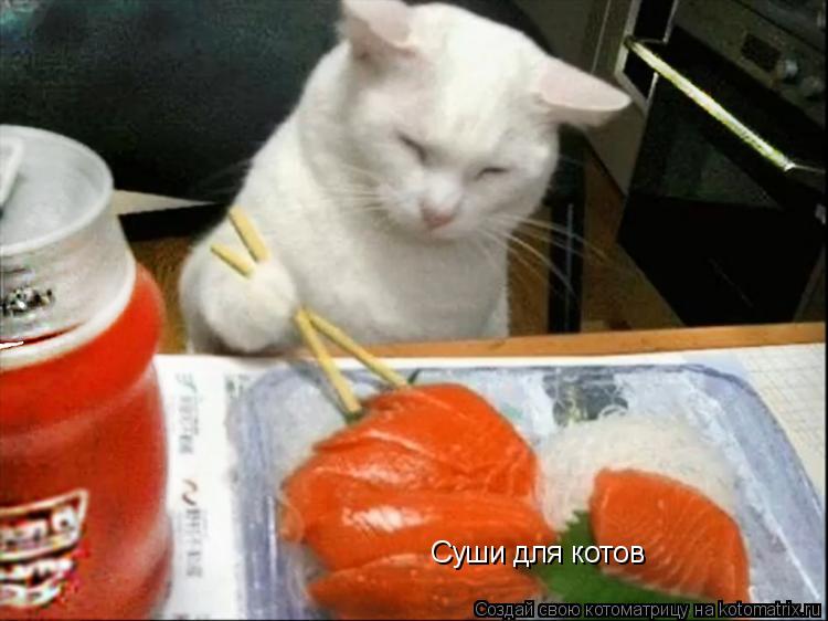 Котоматрица: Суши для котов