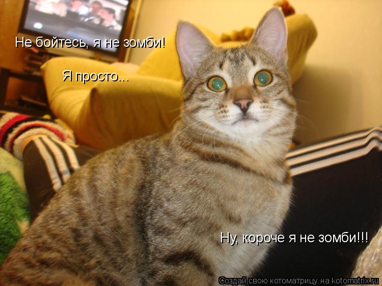 Не бойтесь, я не зомби! Я просто... Ну, короче я не зомби!!!... Котоматрица: Не бойтесь, я не зомби! Я просто... Ну, короче я не зомби!!!