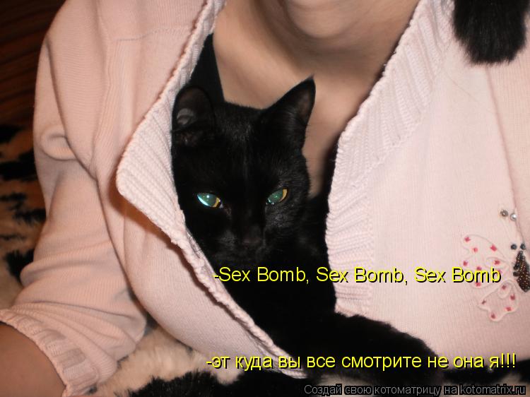 -Sex Bomb, Sex Bomb, Sex Bomb -эт куда вы все смотрите не она я!!!... Котоматрица: -Sex Bomb, Sex Bomb, Sex Bomb -эт куда вы все смотрите не она я!!!