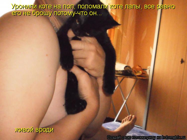 Уронили коте на пол, поломали коте лапы, все равно его не брошу потому-что он... живой вроди... Котоматрица: Уронили коте на пол, поломали коте лапы, все равно его не брошу потому-что он... живой вроди