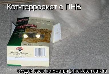 Кот-террорист с ПНВ... Котоматрица: Кот-террорист с ПНВ