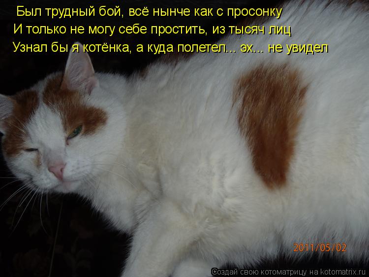 Был трудный бой, всё нынче как с просонку И только не могу себе простить, из тысяч лиц Узнал бы я кот... Котоматрица: Был трудный бой, всё нынче как с просонку И только не могу себе простить, из тысяч лиц Узнал бы я котёнка, а куда полетел... эх... не увидел