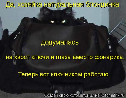 Да, хозяйка натуральная блондинка додумалась на хвост ключи и глаза вместо фонарика. Теперь вот ключн... Котоматрица: Да, хозяйка натуральная блондинка додумалась на хвост ключи и глаза вместо фонарика. Теперь вот ключником работаю