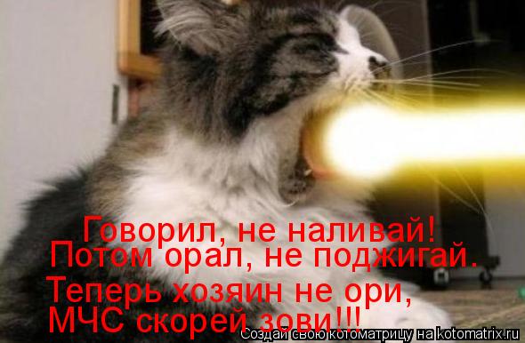 Говорил, не наливай! Потом орал, не поджигай. Теперь хозяин не ори, МЧС скорей зови!!!... Котоматрица: Говорил, не наливай! Потом орал, не поджигай. Теперь хозяин не ори, МЧС скорей зови!!!