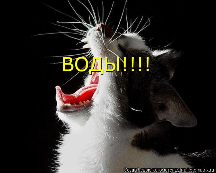ВОДЫ!!!!... Котоматрица: ВОДЫ!!!!