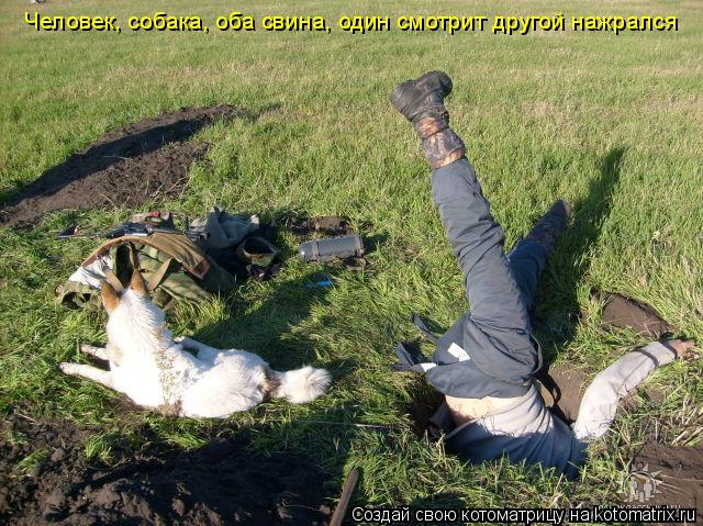 Человек, собака, оба свина, один смотрит другой нажрался... Котоматрица: Человек, собака, оба свина, один смотрит другой нажрался