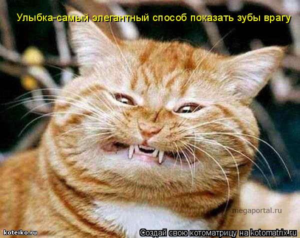 Улыбка-самый элегантный способ показать зубы врагу... Котоматрица: Улыбка-самый элегантный способ показать зубы врагу