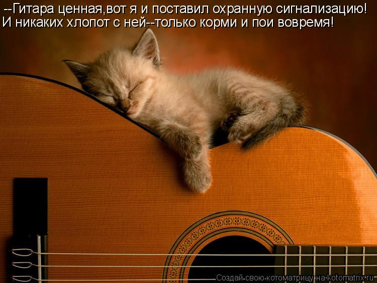 --Гитара ценная,вот я и поставил охранную сигнализацию! И никаких хлопот с ней--только корми и пои во... Котоматрица: --Гитара ценная,вот я и поставил охранную сигнализацию! И никаких хлопот с ней--только корми и пои вовремя!