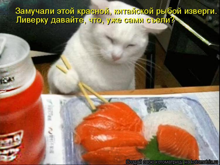 Замучали этой красной, китайской рыбой изверги. Ливерку давайте, что, уже сами съели?... Котоматрица: Замучали этой красной, китайской рыбой изверги. Ливерку давайте, что, уже сами съели?