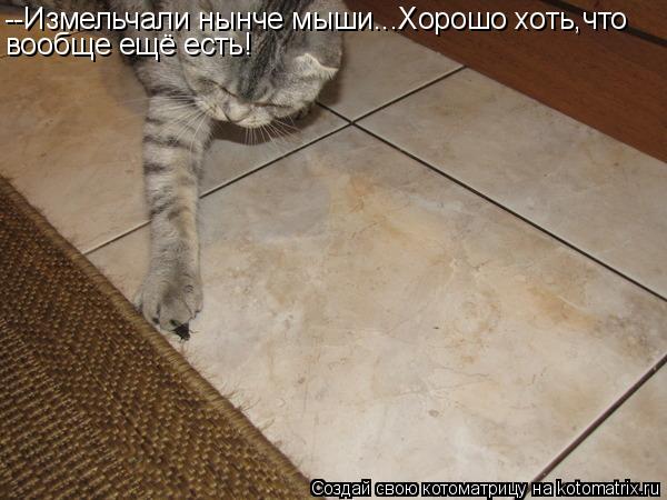 --Измельчали нынче мыши...Хорошо хоть,что вообще ещё есть!... Котоматрица: --Измельчали нынче мыши...Хорошо хоть,что вообще ещё есть!