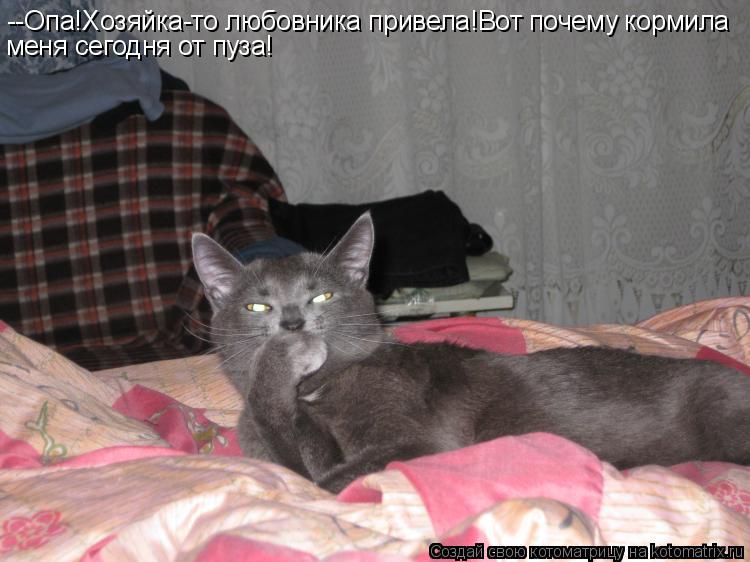 --Опа!Хозяйка-то любовника привела!Вот почему кормила меня сегодня от пуза!... Котоматрица: --Опа!Хозяйка-то любовника привела!Вот почему кормила меня сегодня от пуза!