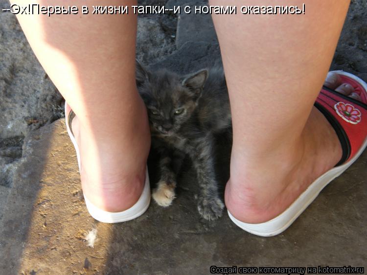 --Эх!Первые в жизни тапки--и с ногами оказались!... Котоматрица: --Эх!Первые в жизни тапки--и с ногами оказались!