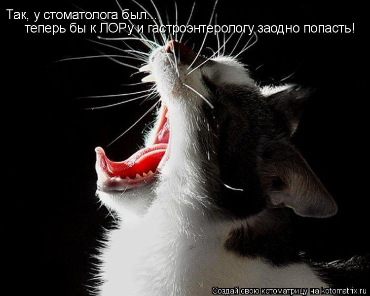 Так, у стоматолога был... теперь бы к ЛОРу и гастроэнтерологу заодно попасть!... Котоматрица: Так, у стоматолога был... теперь бы к ЛОРу и гастроэнтерологу заодно попасть!