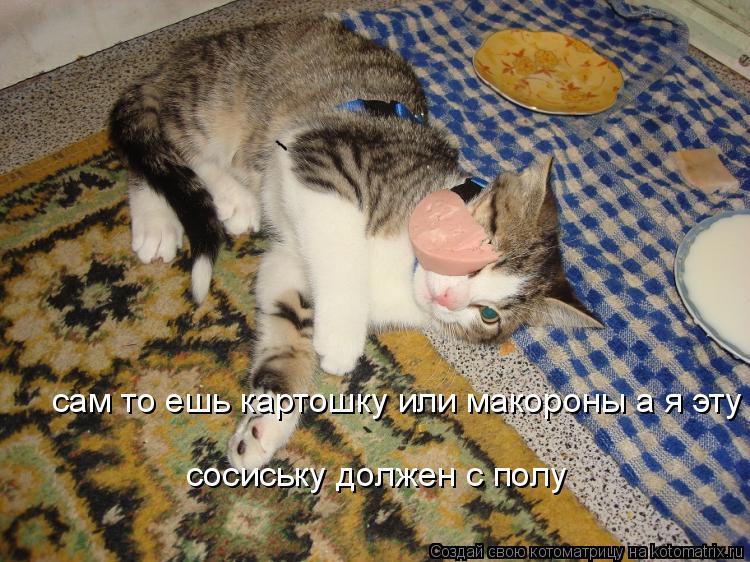 сам то ешь картошку или макороны а я эту сосиську должен ((( сосиську должен с полу... Котоматрица: сам то ешь картошку или макороны а я эту сосиську должен ((( сосиську должен с полу