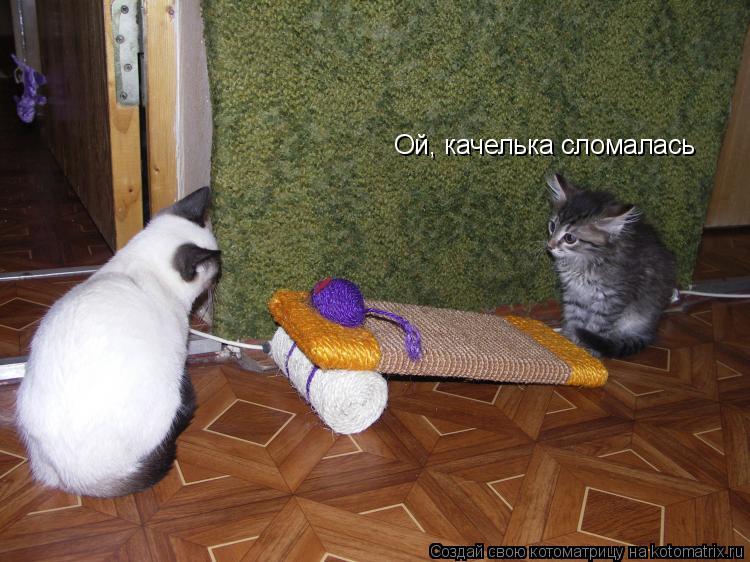 Ой, качелька сломалась... Котоматрица: Ой, качелька сломалась
