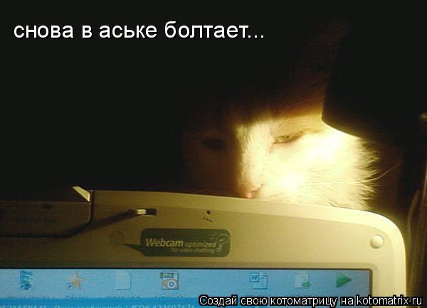 снова в аське болтает...... Котоматрица: снова в аське болтает...