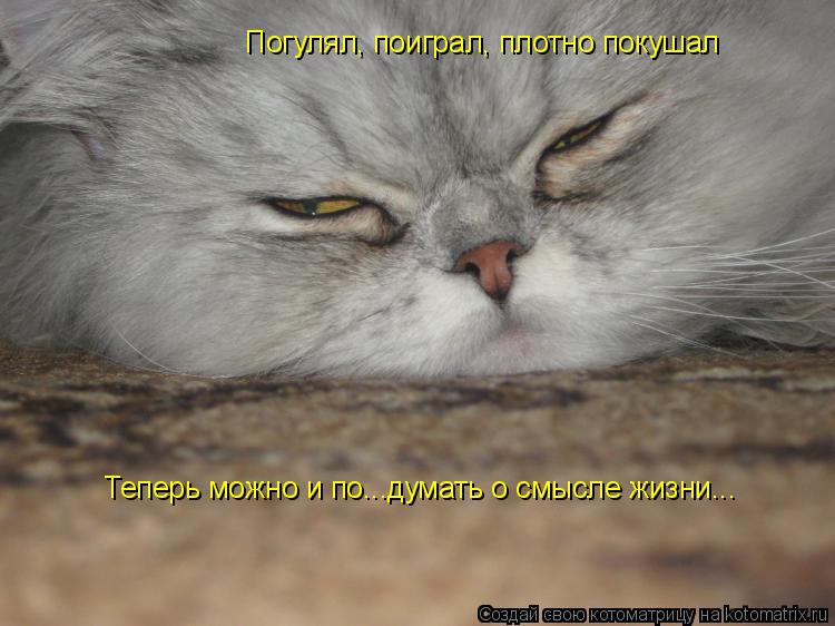 Погулял, поиграл, плотно покушал Теперь можно и по...думать о смысле жизни...... Котоматрица: Погулял, поиграл, плотно покушал Теперь можно и по...думать о смысле жизни...