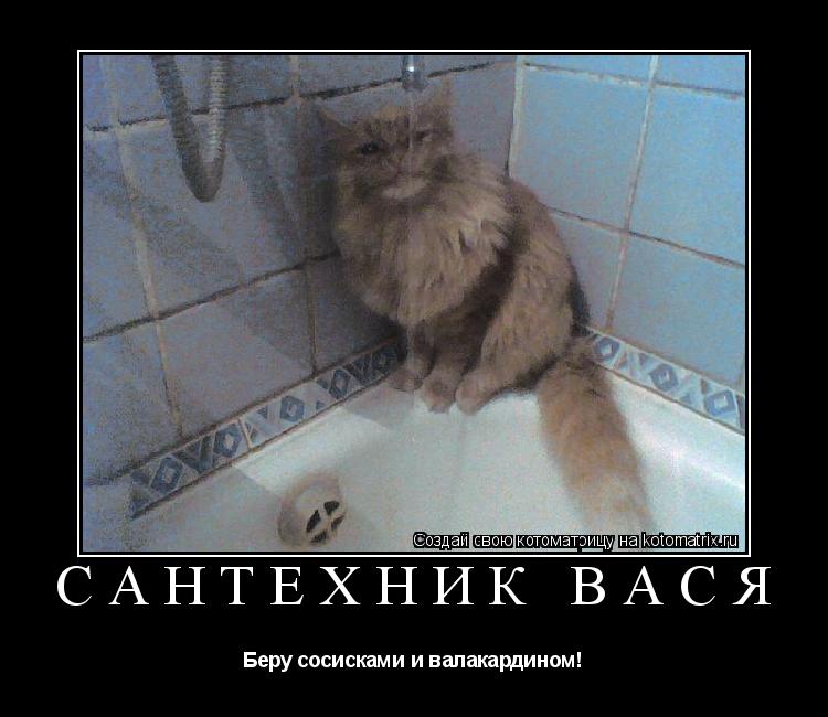 Сантехник Вася Беру сосисками и валакардином!... Котоматрица: Сантехник Вася Беру сосисками и валакардином!