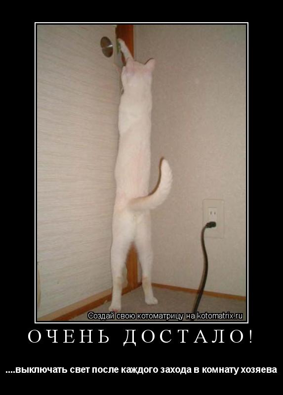 Очень достало! ....выключать свет после каждого захода в комнату хозяева... Котоматрица: Очень достало! ....выключать свет после каждого захода в комнату хозяева