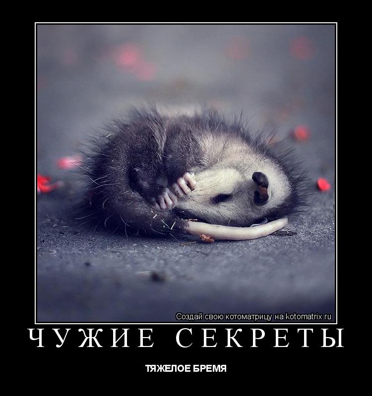 ЧУЖИЕ СЕКРЕТЫ ТЯЖЕЛОЕ БРЕМЯ... Котоматрица: ЧУЖИЕ СЕКРЕТЫ ТЯЖЕЛОЕ БРЕМЯ