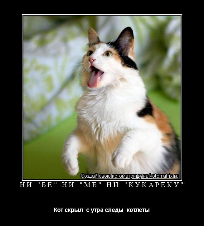 Ни "бе" ни "ме" ни "кукареку" Кот скрыл с утра следы котлеты... Котоматрица: Ни "бе" ни "ме" ни "кукареку" Кот скрыл с утра следы котлеты