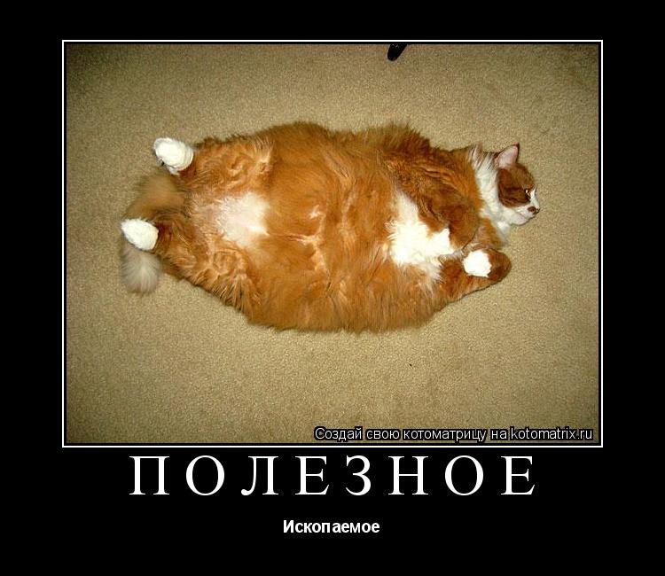 Котоматрица: Полезное Ископаемое