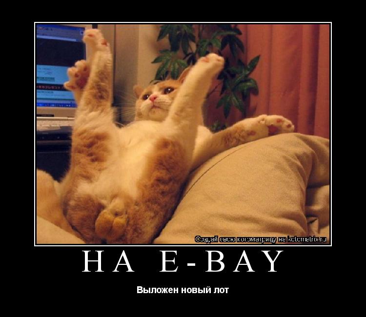 На e-bay Выложен новый лот... Котоматрица: На e-bay Выложен новый лот