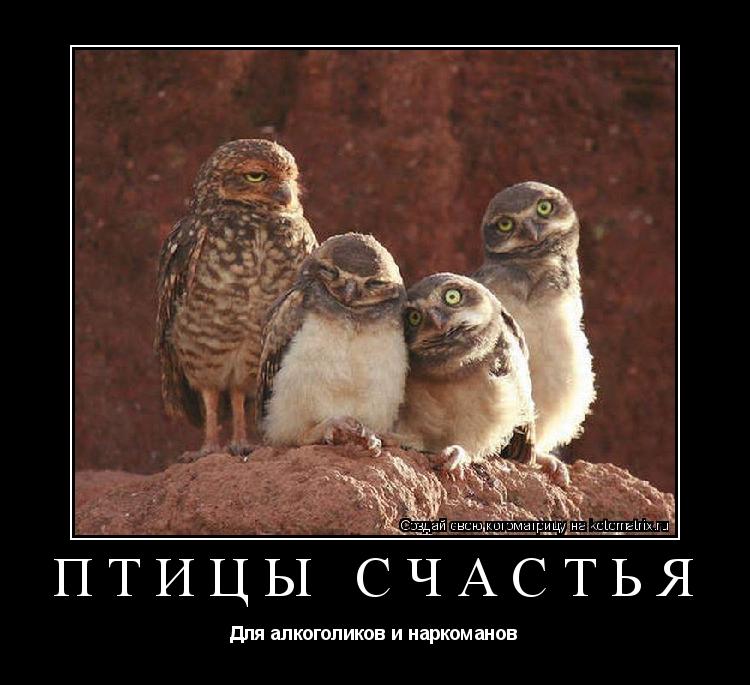 Птицы счастья Для алкоголиков и наркоманов... Котоматрица: Птицы счастья Для алкоголиков и наркоманов