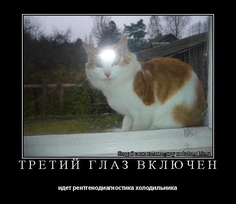 Третий глаз включен идет рентгенодиагностика холодильника... Котоматрица: Третий глаз включен идет рентгенодиагностика холодильника