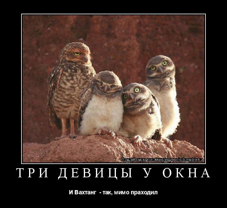 Котоматрица: Три девицы у окна И Вахтанг  - так, мимо праходил