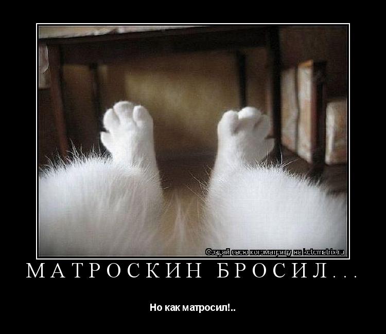 Матроскин бросил... Но как матросил!..... Котоматрица: Матроскин бросил... Но как матросил!..