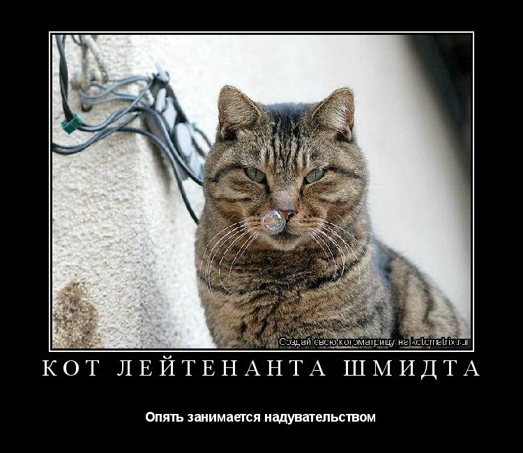 Кот лейтенанта Шмидта Опять занимается надувательством... Котоматрица: Кот лейтенанта Шмидта Опять занимается надувательством
