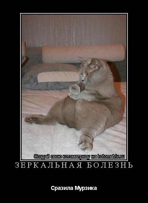 Зеркальная болезнь Сразила Мурзика... Котоматрица: Зеркальная болезнь Сразила Мурзика