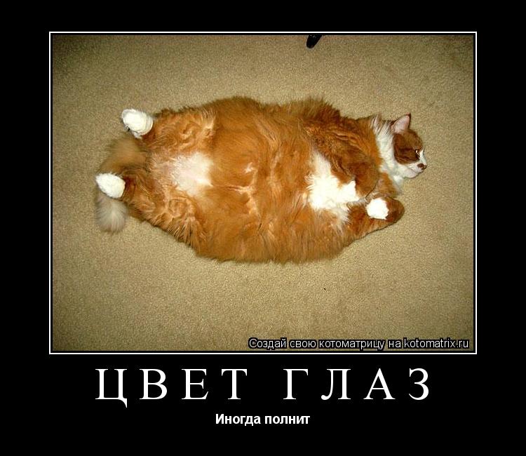 Цвет глаз Иногда полнит... Котоматрица: Цвет глаз Иногда полнит