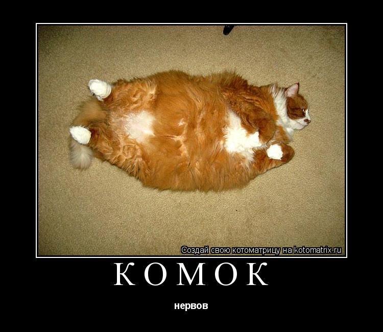 Комок нервов... Котоматрица: Комок нервов