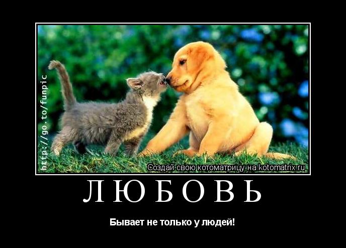 Любовь Бывает не только у людей!... Котоматрица: Любовь Бывает не только у людей!