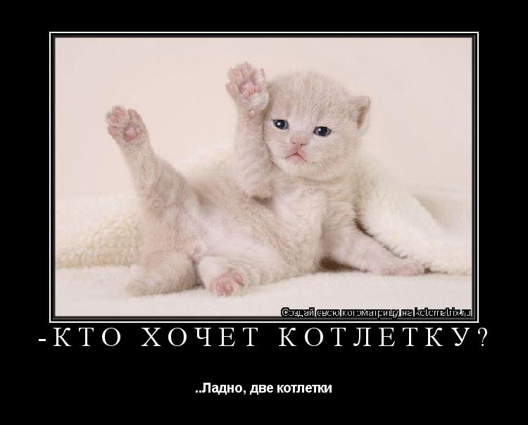 -Кто хочет котлетку? ..Ладно, две котлетки... Котоматрица: -Кто хочет котлетку? ..Ладно, две котлетки