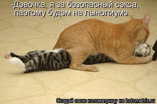 -Дэвочка, я за бэзопасный сэкса, паэтому будэм на лынолиумэ...... Котоматрица: -Дэвочка, я за бэзопасный сэкса, паэтому будэм на лынолиумэ...