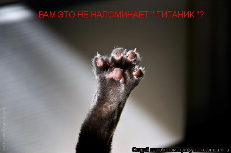 ВАМ ЭТО НЕ НАПОМИНАЕТ " ТИТАНИК "?... Котоматрица: ВАМ ЭТО НЕ НАПОМИНАЕТ " ТИТАНИК "?