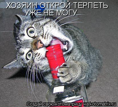 ХОЗЯИН ОТКРОЙ ТЕРПЕТЬ УЖЕ НЕ МОГУ... Котоматрица: ХОЗЯИН ОТКРОЙ ТЕРПЕТЬ УЖЕ НЕ МОГУ