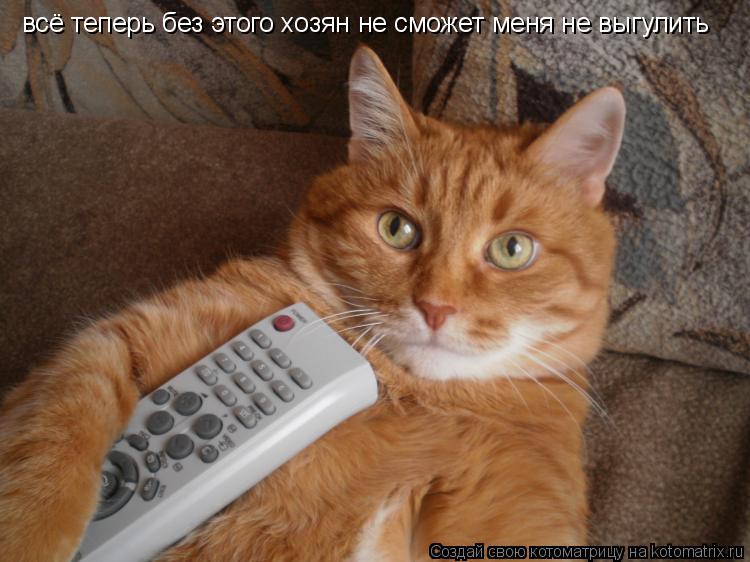 всё теперь без этого хозян не сможет меня не выгулить... Котоматрица: всё теперь без этого хозян не сможет меня не выгулить