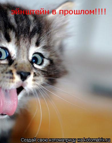 эйнштейн в прошлом!!!!... Котоматрица: эйнштейн в прошлом!!!!