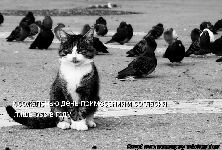 к сожаленью день примерения и согласия лишь раз в году... Котоматрица: к сожаленью день примерения и согласия лишь раз в году