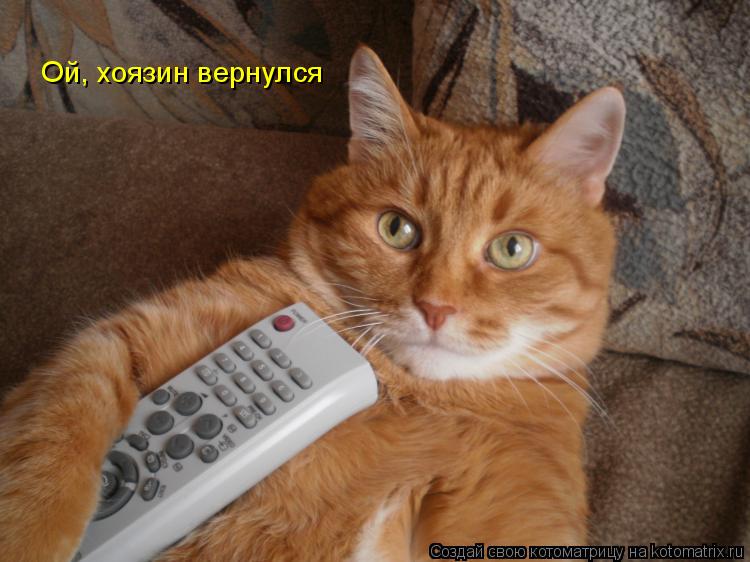 Котоматрица: Ой, хоязин вернулся
