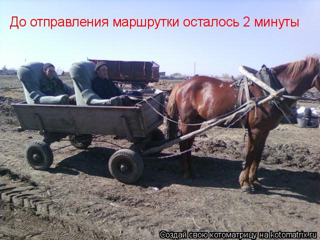 До отправления маршрутки осталось 2 минуты... Котоматрица: До отправления маршрутки осталось 2 минуты